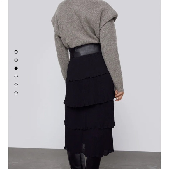 Zara | Ruffled Swiss Dotted Midi Mesh Skirt XS NWT - Picture 4 of 10